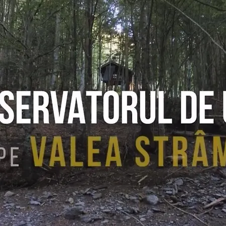 Valea Salbatica * Sinca Noua