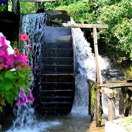 Resort Valea Salbatica Sinca Noua