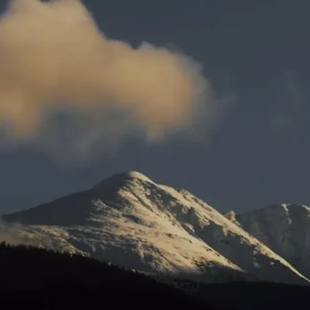Valea Salbatica