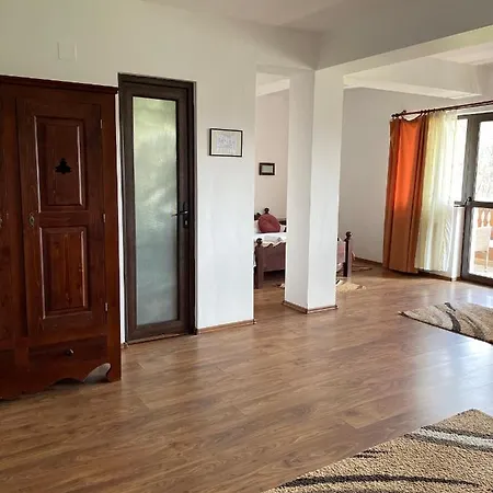 Valea Salbatica Sinca Noua