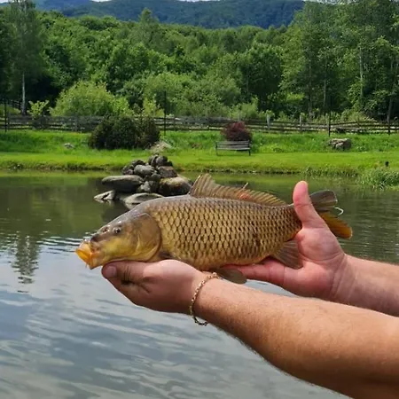 Valea Salbatica Resort