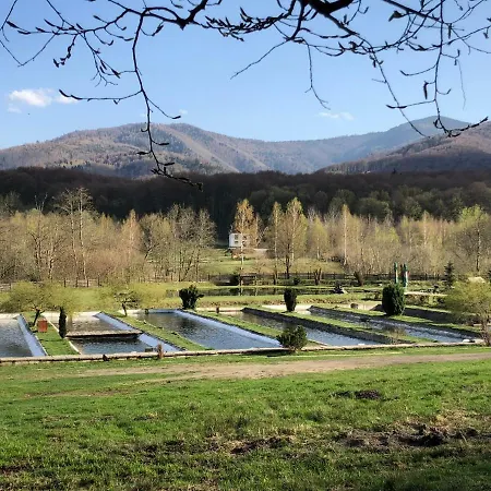 Valea Salbatica * Sinca Noua